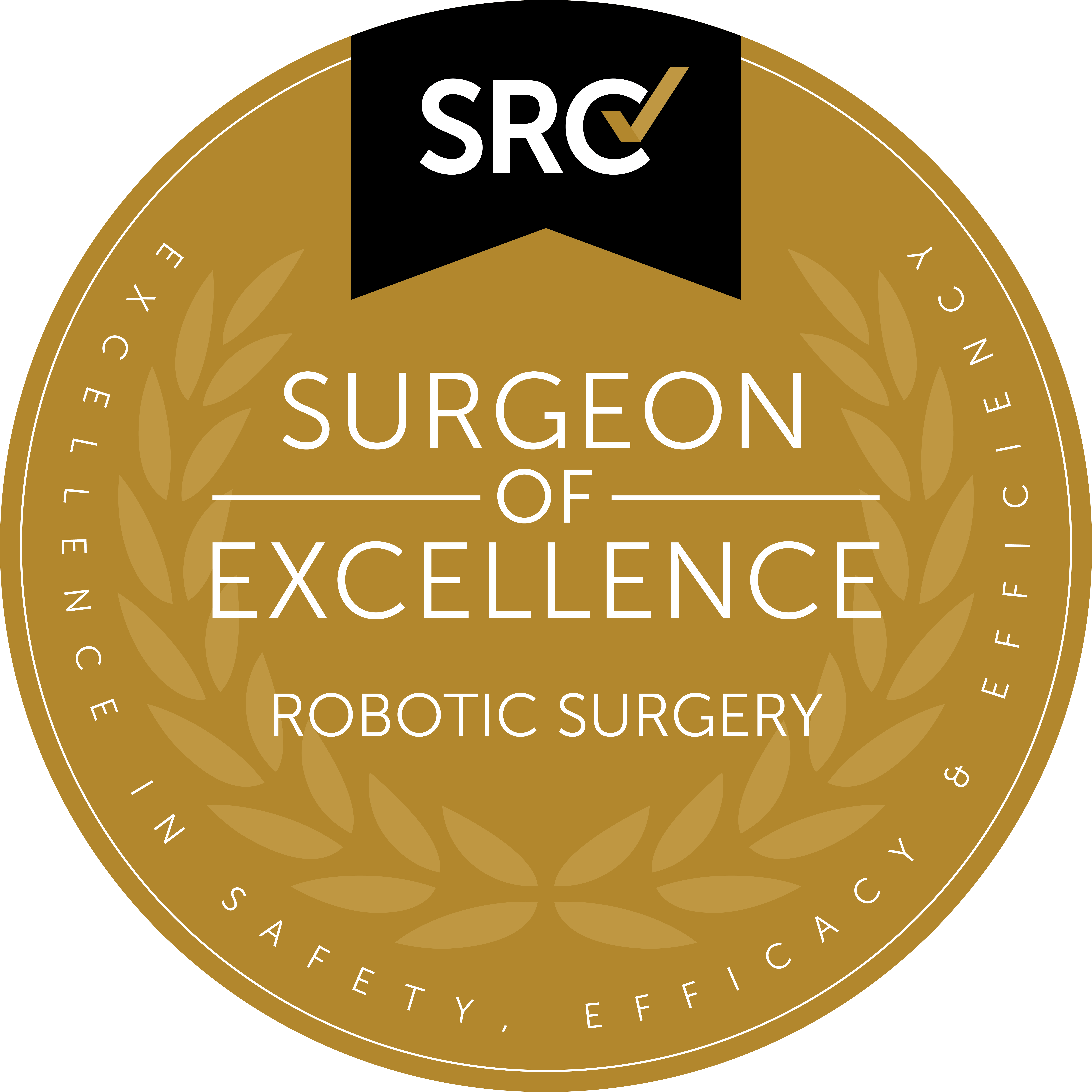 Surgeon of Excellence in Robotic Surgery as recognized by the SRC